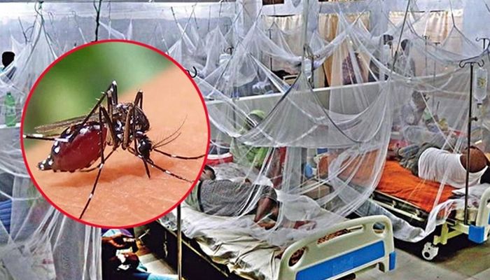 ডেঙ্গুতে আরও ৫ মৃত্যু, হাসপাতালে ভর্তি ৬৩৬