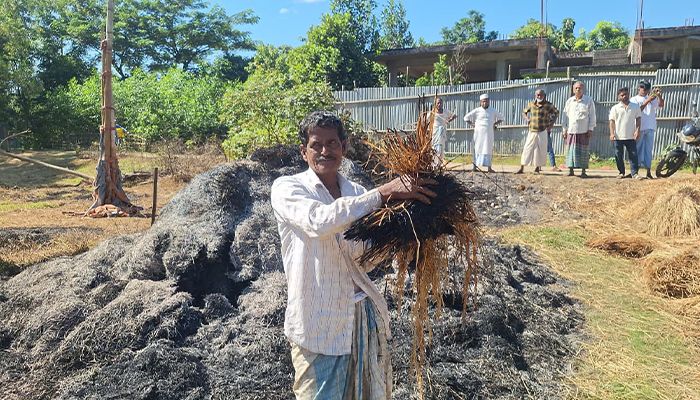 দুর্বৃত্তদের আগুনে পুড়ছে কৃষকের কাটা ধান 