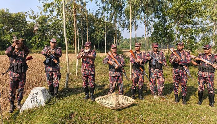 খাঁচাবন্দী ৯০টি শালিক পাখিকে মুক্ত করল বিজিবি