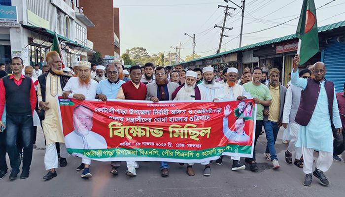 উপজেলা পরিষদ ও থানায় ককটেল হামলার প্রতিবাদে বিএনপির বিক্ষোভ মিছিল