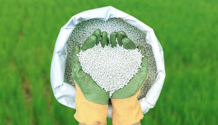 সরকারের ১ লাখ ৭০ হাজার টন সার ক্রয়ের অনুমোদন 
