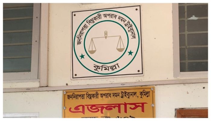 কুমিল্লায় অন্তঃসত্ত্বা স্ত্রীকে শ্বাসরোধে হত্যা, স্বামীর যাবজ্জীবন