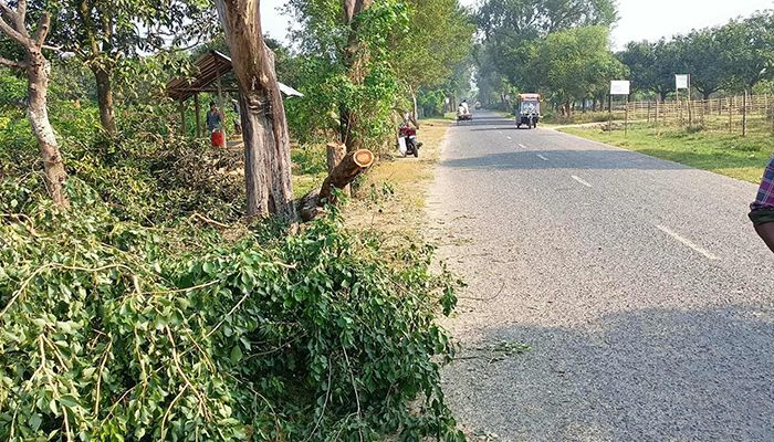 সন্ধ্যা রাতেই হচ্ছে ডাকাতি, নিরাপত্তায় ব্যর্থ পুলিশ