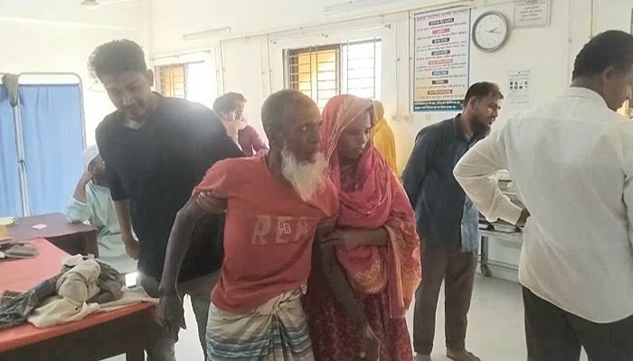 শিবচরে পাগলা কুকুরের কামড়ে আহত ১২