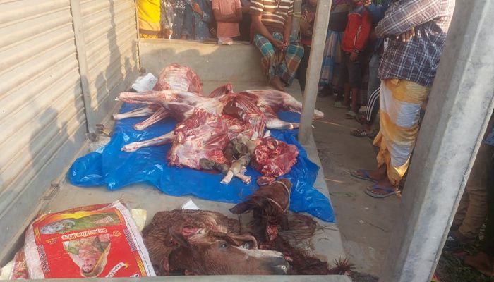 ঘোড়া জবাই করে মাংস প্রক্রিয়াকালে আটক ১