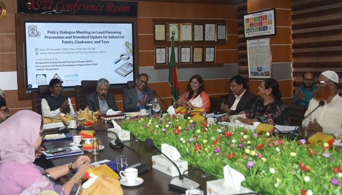 খেলনা ও রঙে সিসা নিয়ন্ত্রণে কঠোর পদক্ষেপের আহ্বান