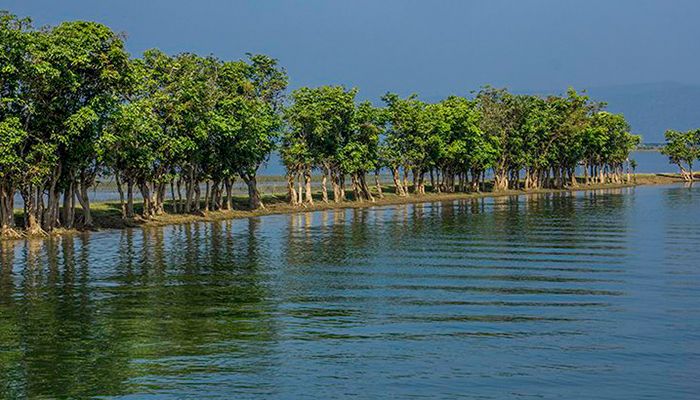 বরুণ বৃক্ষের ছায়ার দিকে তাকিয়ে ভাসান পানি