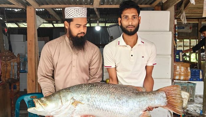 ১৯ কেজির কোরাল ২৬ হাজার টাকায় বিক্রি 
