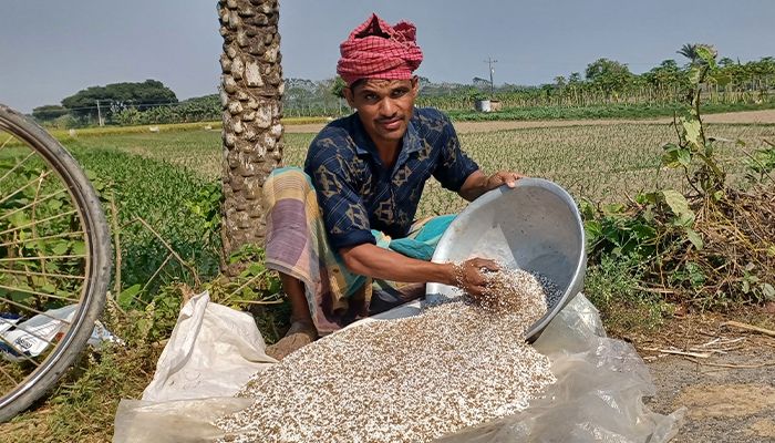 সিন্ডিকেট ও নজরদারির অভাবে বাড়ছে সার সংকট