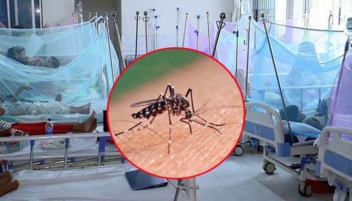 ডেঙ্গুতে একদিনে আরও ১০ জনের মৃত্যু