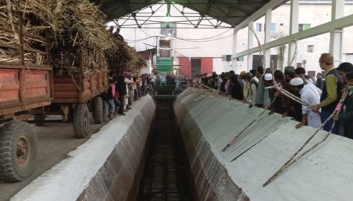 জিল বাংলা চিনিকলে আখ মাড়াই শুরু