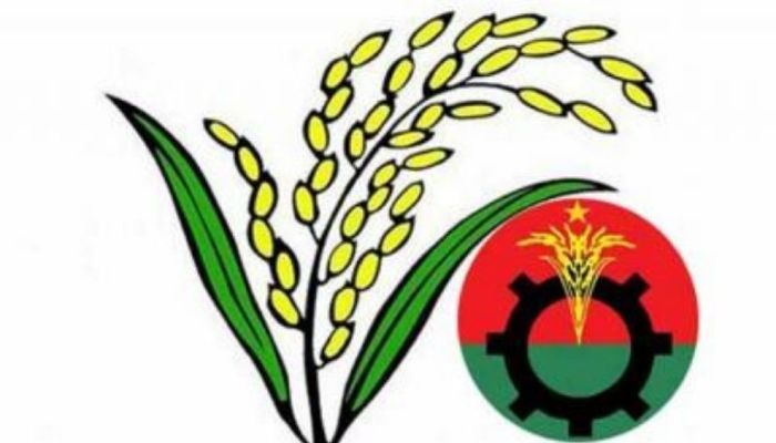 যে জেলায় কোনো প্রার্থী দেয়নি বিএনপি