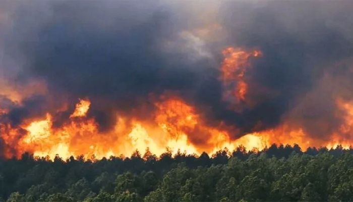 ৭ দিন ধরে ব্যাপক দাবানলে পুড়ছে ইরান