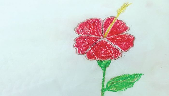 ফুলের বন্ধু