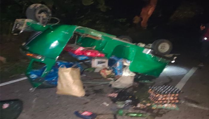 কাপ্তাইয়ে সড়কে বন্যহাতির আক্রমণে বৃদ্ধা নিহত