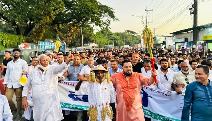 ৭ নভেম্বর বাংলাদেশের ইতিহাসের মাইলফলক : মীর হেলাল