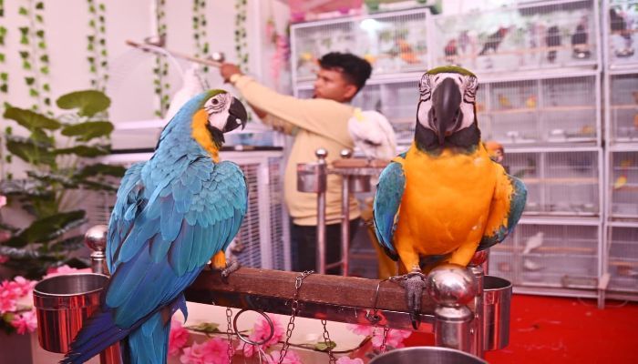 প্রাণিপ্রেমীদের পদচারণায়  মুখর মেলাপ্রাঙ্গণ