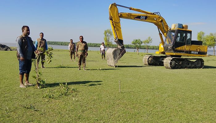 বনায়ন ধ্বংস করে তরমুজ চাষ