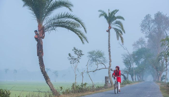 ফাইল ছবি