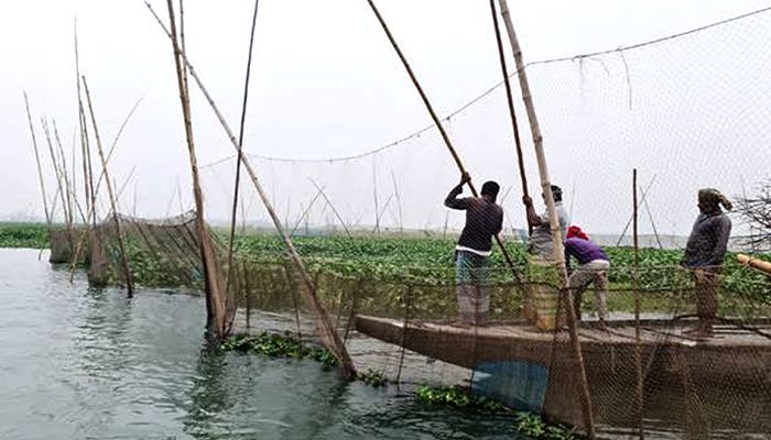 তিতাস নদীতে পানি আছে, নেই মাছ