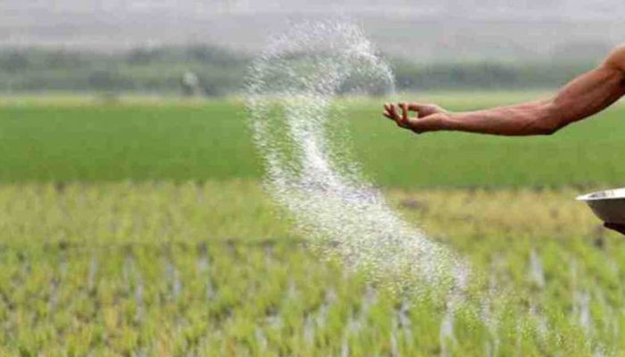 ভরা মৌসুমে সার সরবরাহে দীর্ঘসূত্রতার অভিযোগ