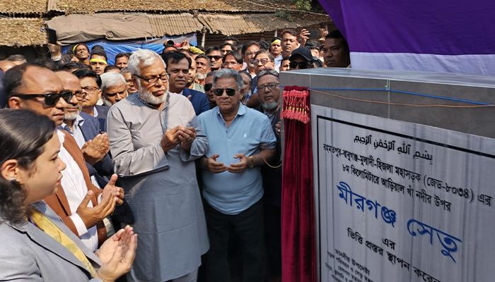 নির্বাচনে যারা বিজয়ী হবে আমরা তাদের পাশে দাঁড়াবো : সেতু উপদেষ্টা 