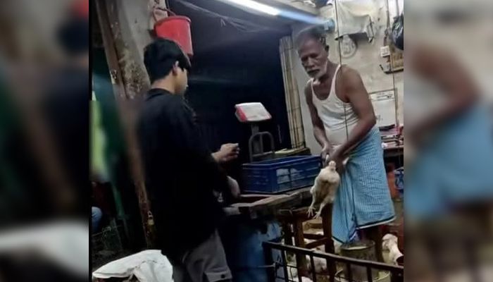 চকরিয়ায় মরা মুরগি জবাই করে বিক্রি !