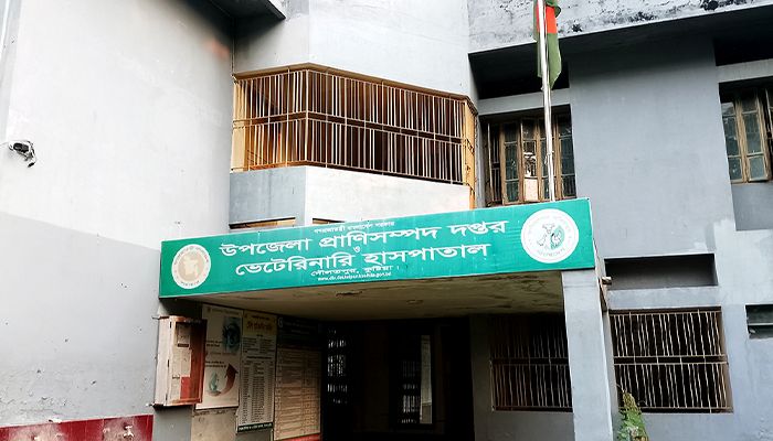 দৌলতপুর পশু হাসপাতালে জনবল সংকটে ভোগান্তিতে হাজারও খামারি