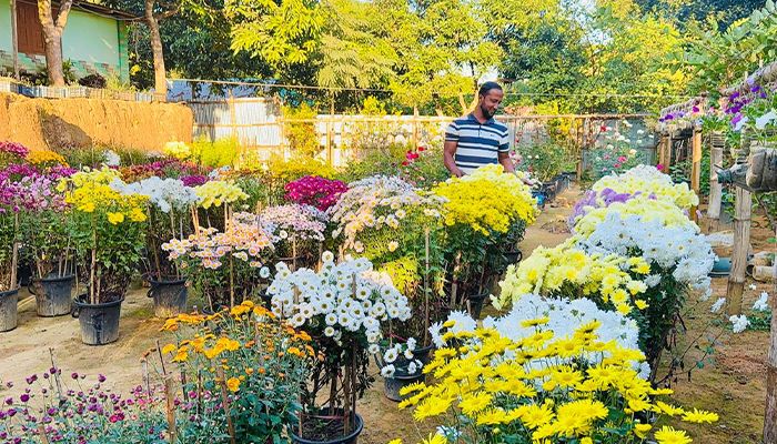দীঘিনালার পাহাড়ে দম্পতির রঙিন ফুলের স্বপ্নবাগান