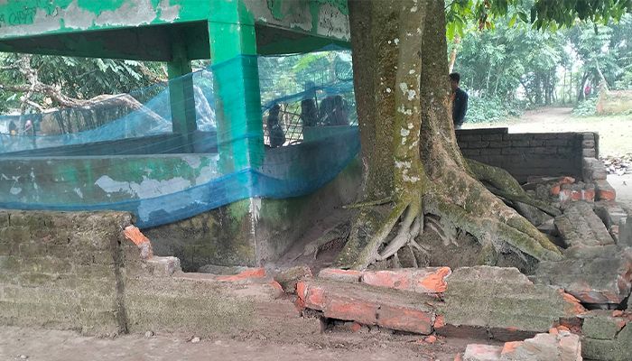 মাজারে ভাঙচুর-পবিত্রতা নষ্টের অভিযোগে মামলা