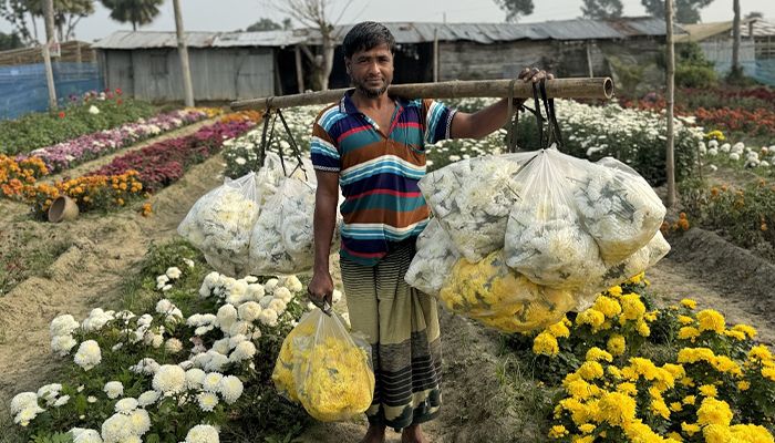 উৎসবের অপেক্ষায় প্রস্তুত ফুলের রাজধানী গদখালী 
