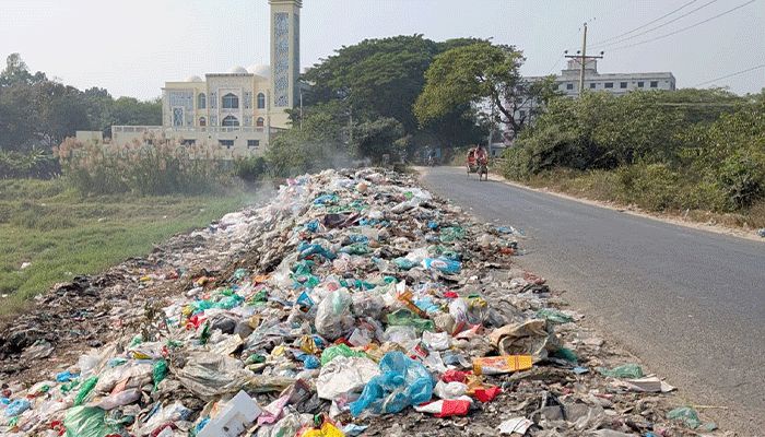 মডেল মসজিদের অদূরে ময়লার ভাগাড়