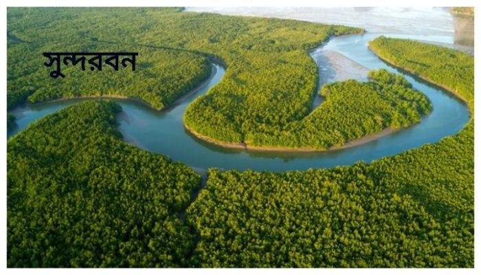 সুন্দরবনের ৭ জেলেকে অপহরণ, মুক্তিপণ দাবি