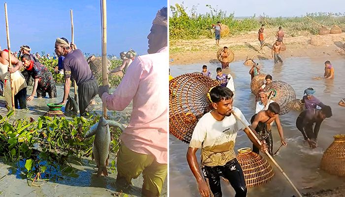 হাইল হাওরে মাছ লুটের মহোৎসব 