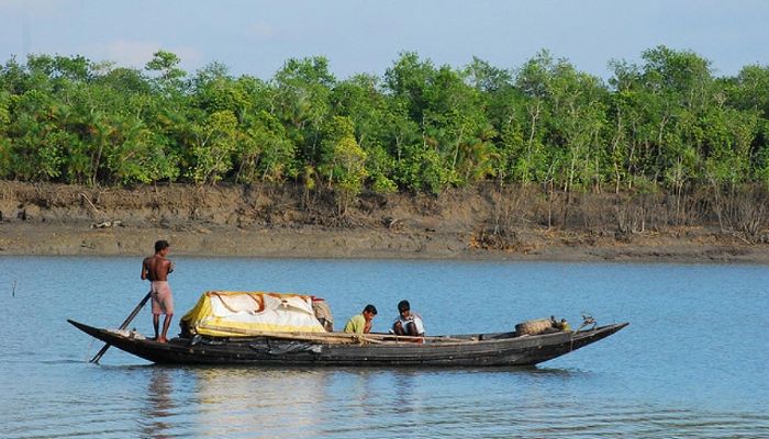 এনজিও ব্যুরোর ছাড়পত্র ছাড়াই সুন্দরবনে ‘প্রতিবেশ’ প্রকল্প!