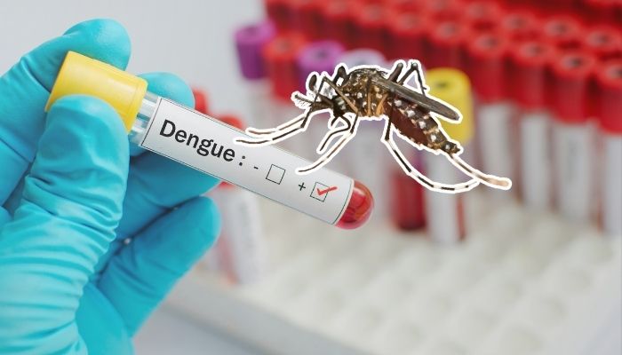 ডেঙ্গু আক্রান্ত ১৭২ জন, মৃত্যু নেই