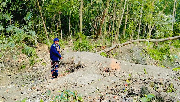 আদালতের নিষেধাজ্ঞা উপেক্ষা করে গাছ কর্তন 