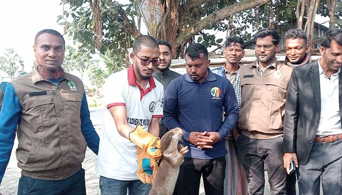 কুয়াকাটায় বিপন্ন প্রজাতির ভোঁদড় উদ্ধার