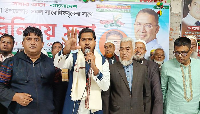 বিএনপি ছাড়া কেউ দেশ স্থিতিশীল রাখতে পারবে না: নুরুল হক নুর