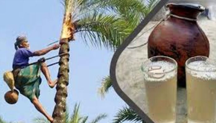  খেজুরের কাঁচা রসে প্রাণঘাতি ছায়া 