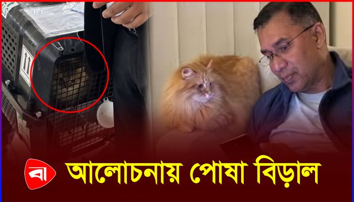 তারেক রহমানের সঙ্গে ফিরল জেবুও