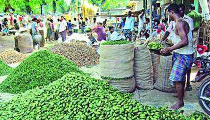 ন্যায্যমূল্য না পেলে ক্ষতি সবটাই কৃষকের