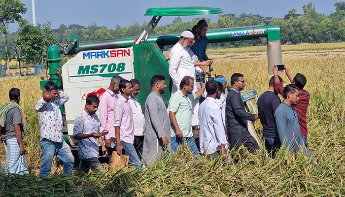 ফেনীতে চাষিদের ধান কেটে দিল কৃষক দল