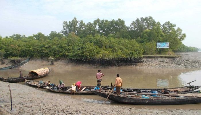 মাছ শিকারির বিষটোপে হুমকির জীববৈচিত্র্য