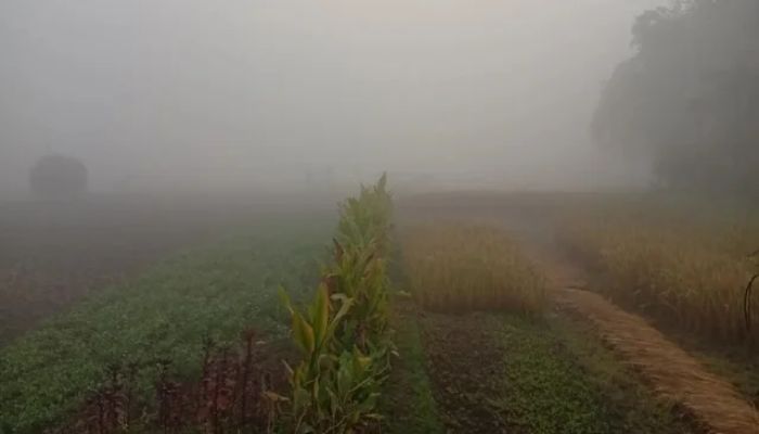 হিমালয়ের কাছের জেলা পঞ্চগড়ে জেঁকে বসেছে শীত
