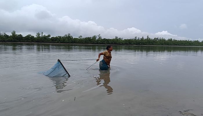 লবণাক্ততা: উপকূলের নারীদের জীবন সংগ্রাম 