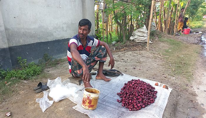 পানিফলে মিষ্টি  হাসি
