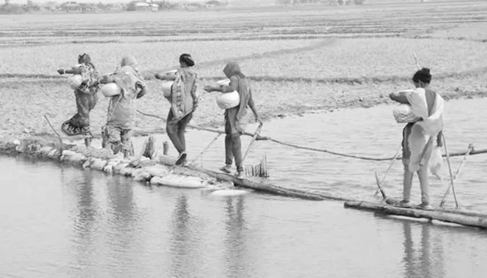 লবণাক্ততায় ডুবছে উপকূল