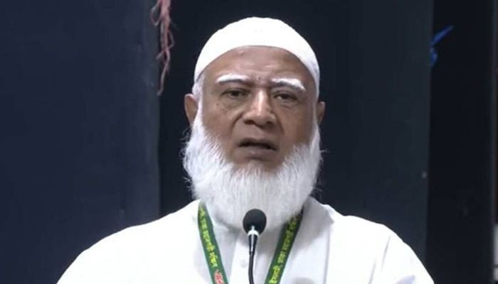 জাতির ওপর থেকে কালো ছায়া যায়নি: শফিকুর রহমান