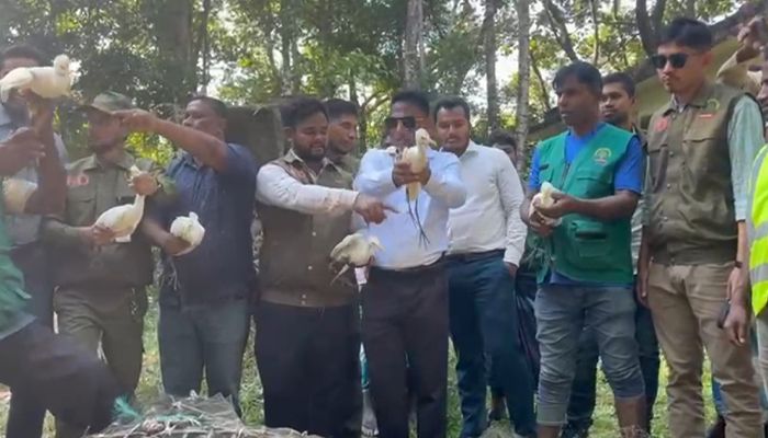 শিকারির কবল হতে অতিথি পাখি উদ্ধার
